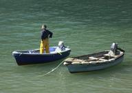 Cliquez pour agrandir l'image Cliquez pour agrandir l'image