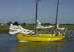 Cliquez pour agrandir l'image