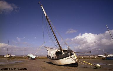 Cliquez pour agrandir l'image Cliquez pour agrandir l'image