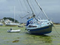 Cliquez pour agrandir l'image Cliquez pour agrandir l'image