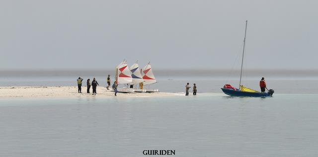 Cliquez pour agrandir l'image Cliquez pour agrandir l'image