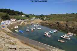 Cliquez pour agrandir l'image