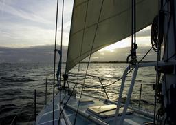 Cliquez pour agrandir l'image Cliquez pour agrandir l'image