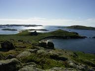 Cliquez pour agrandir l'image