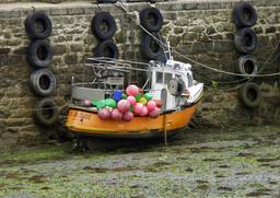 Cliquez pour agrandir l'image Cliquez pour agrandir l'image