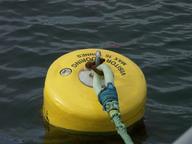 Cliquez pour agrandir l'image