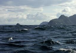 Cliquez pour agrandir l'image