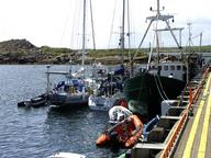 Cliquez pour agrandir l'image